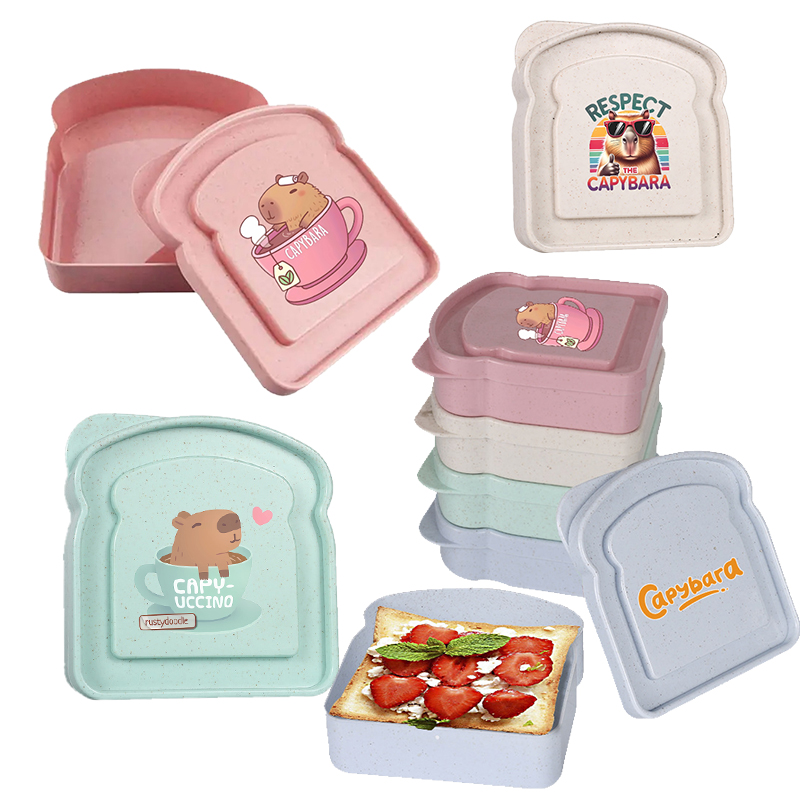 Food Storage Bins - กล่องเก็บอาหารลายคาปิบารา สำหรับใส่แซนวิช สลัด ผลไม้ ขนม กล่องอาหารกลางวันแบบมีฝาปิด