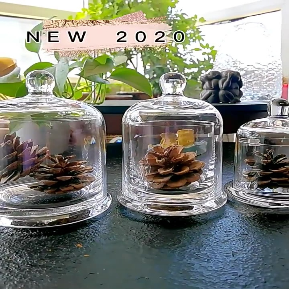 โถแก้วเก็บของ ดอกไม้ชีวิตนิรัน - Food Storage Of Plants บทวิจารณ์และราคา