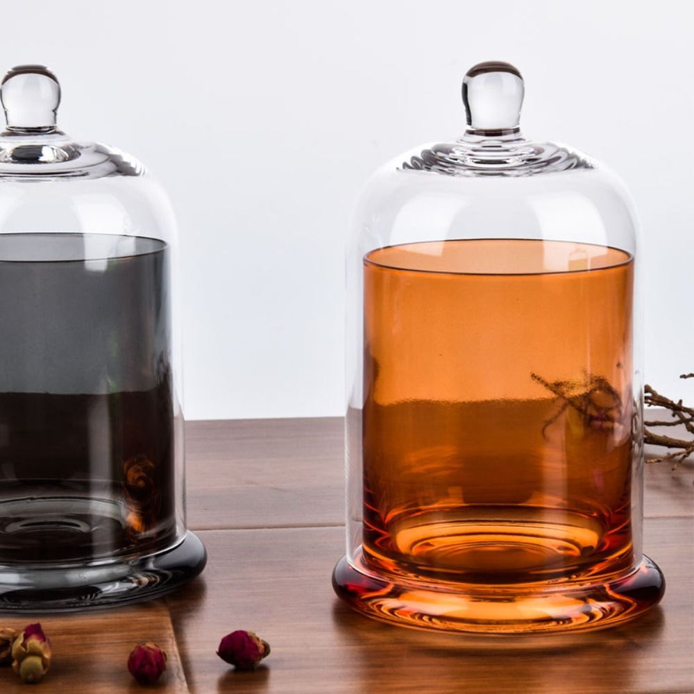 โถแก้วเก็บของ ดอกไม้ชีวิตนิรัน - Food Storage Of Plants บทวิจารณ์และราคา